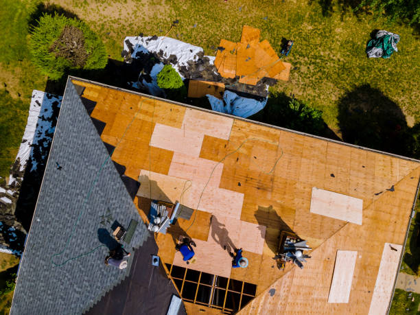 Best Shingle Roofing Installation  in Sutherland, NE